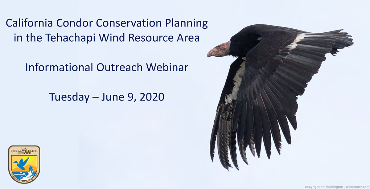 Condor Conservation Planning Presentation