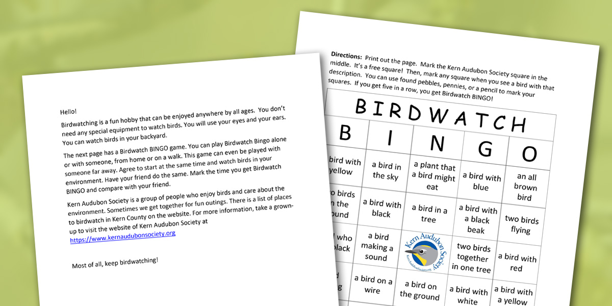 Birdwatch Bingo Game