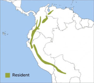 Region for Sword-billed Hummingbird