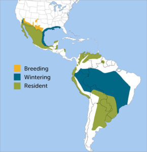 Vermilion Flycatcher range map by ABC